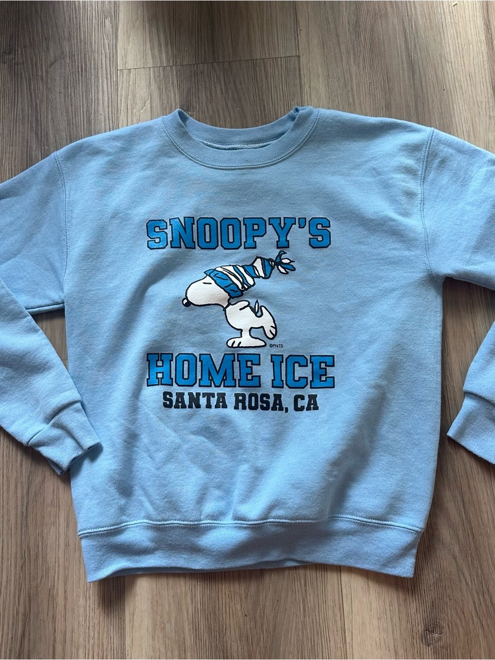 Kids Light Blue Snoopy 'Home Ice' Crewneck Sweatshirt